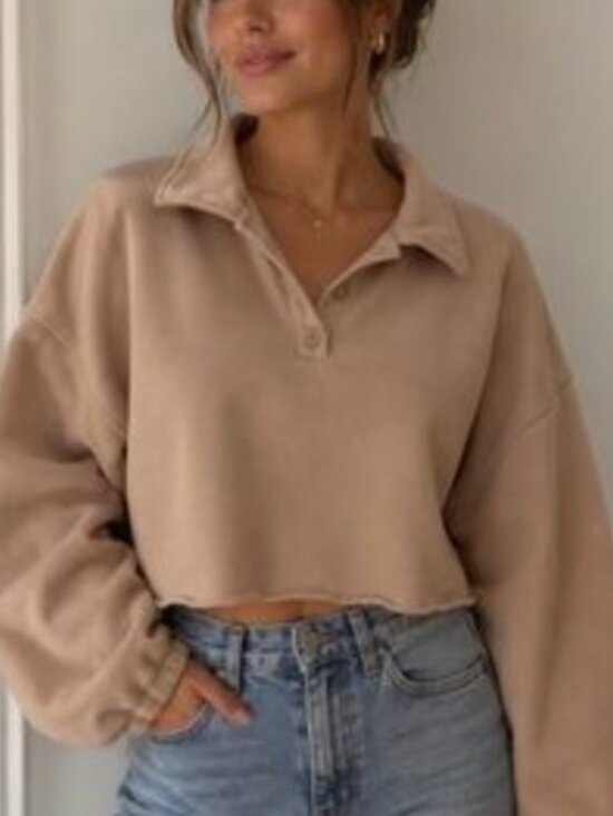 aerie Tops - Aerie Cropped Collared Pullover Sweatshirt